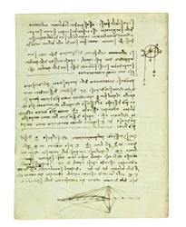 Codex über den Vogelflug, Folio 2 verso